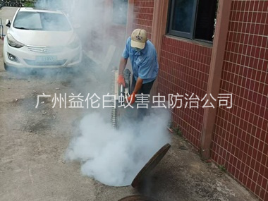 南沙环境蟑螂消杀工程