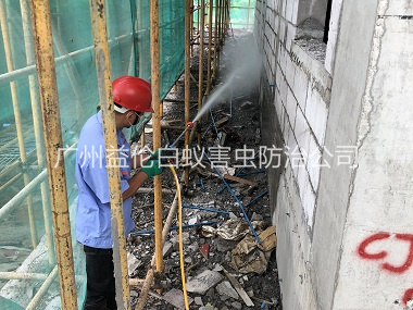 花都建筑白蚁预防工程