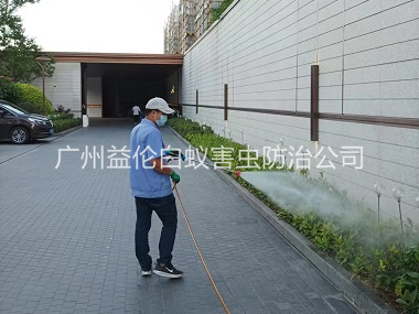 越秀企业园区消杀蚊蝇工程
