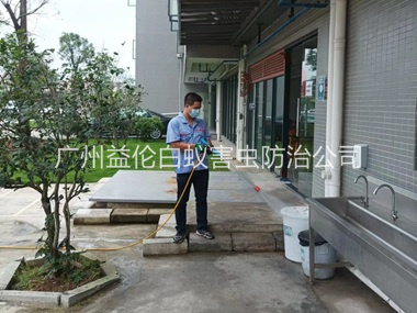 白云区外环境消杀四害工程